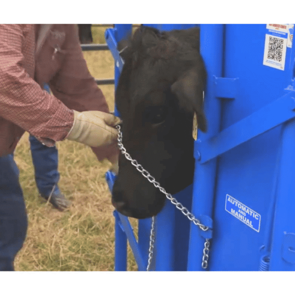 Priefert S0191 2 Lihaveiste ravi- ja hooldusboks Priefert S0191