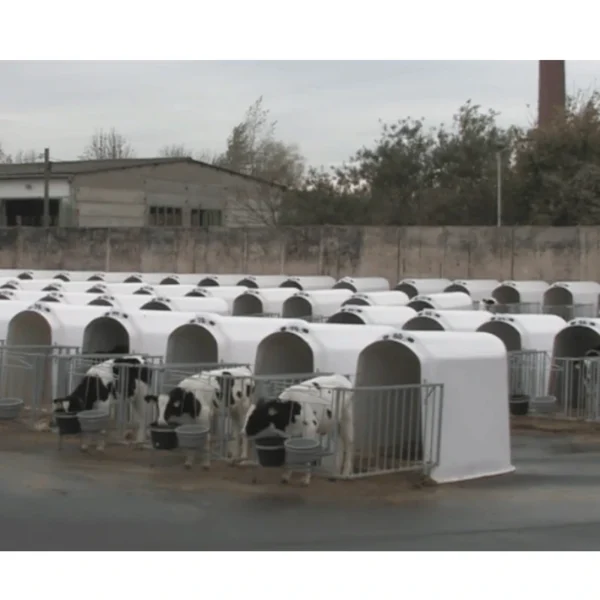 Comfort5 Vasikamaja CalfOTel Comfort 4-osalise aiaga