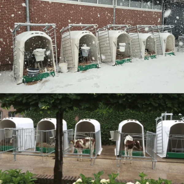 comfort 6 Vasikamaja CalfOTel Comfort 4-osalise aiaga