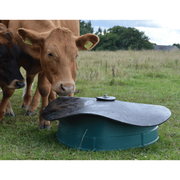 Microfeeder comb