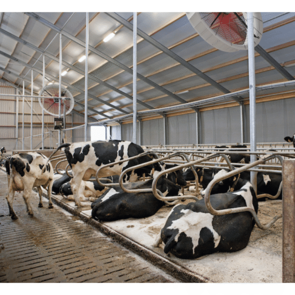 Ventilaator Multifan AirBreeze 1500mm, 48 150 m³/h