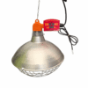Vasikate soojenduslamp