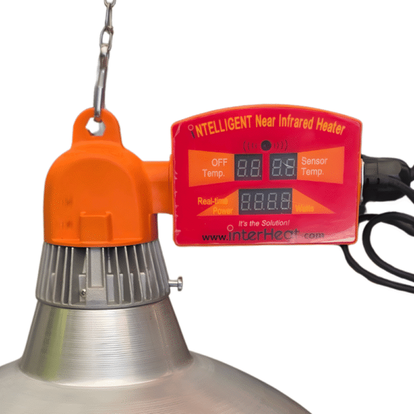 Soojenduslamp 2 Vasikate soojenduslamp