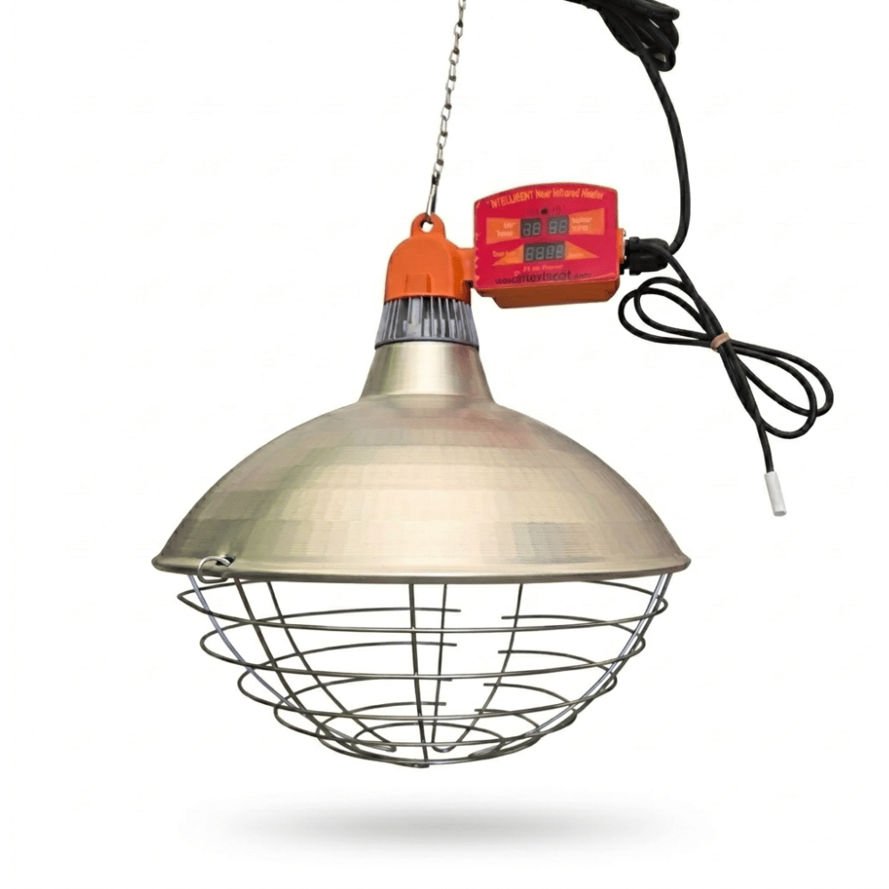 Vasikate soojenduslamp Interheat