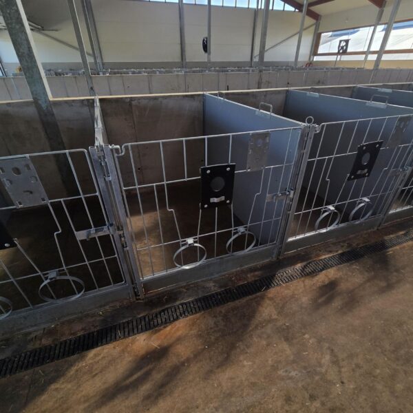 Meedium-2-scaled Plastvasikaboks Calf-QuickBox 1.2 (0-3 kuud) betoonseinale